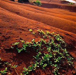 《球胜大本营》第三赛季预告 “黑客入侵”上线